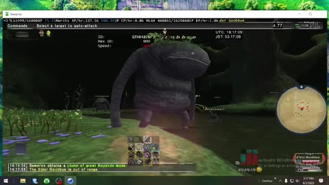 Playing Final Fantasy XI Online