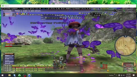 Playing Final Fantasy XI Online