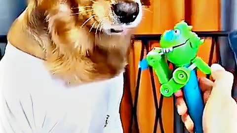 😂😆 "This Dog Just Invented Comedy!" 😂😆