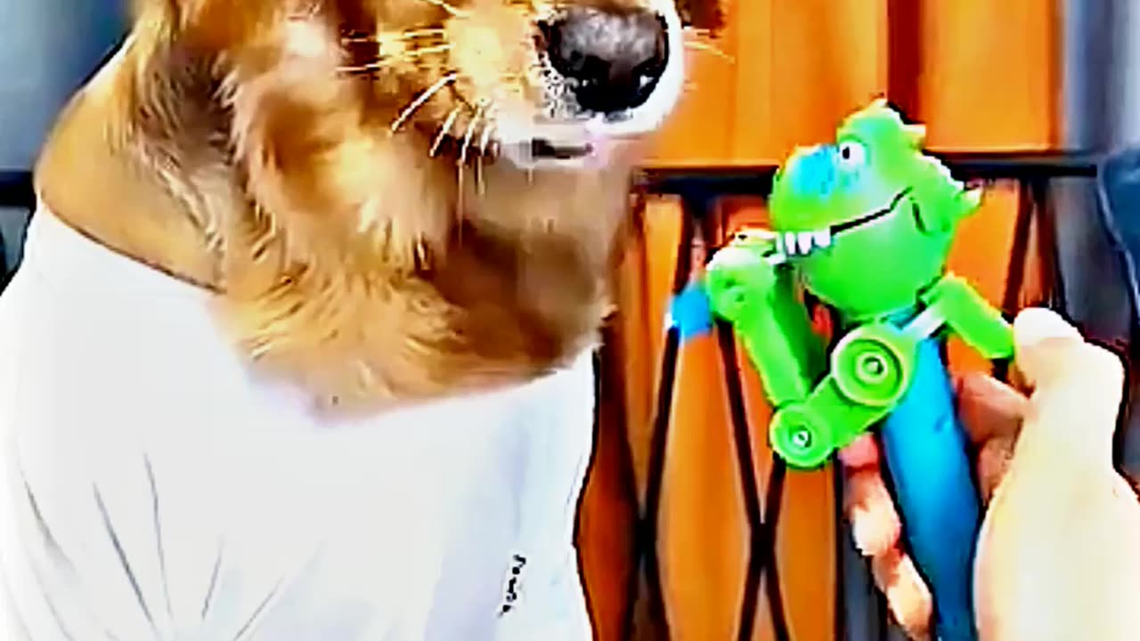 😂😆 "This Dog Just Invented Comedy!" 😂😆