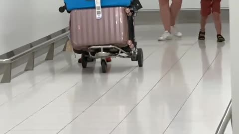 Son Runs To Grandma After Vacation Separation
