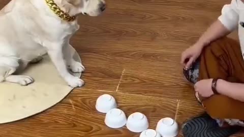 How did he do it ?