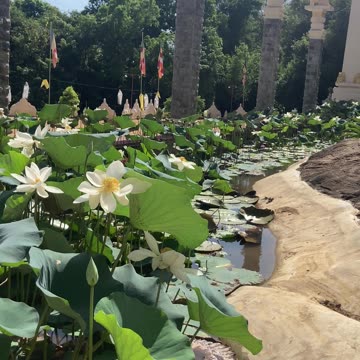 This is amazing 😍