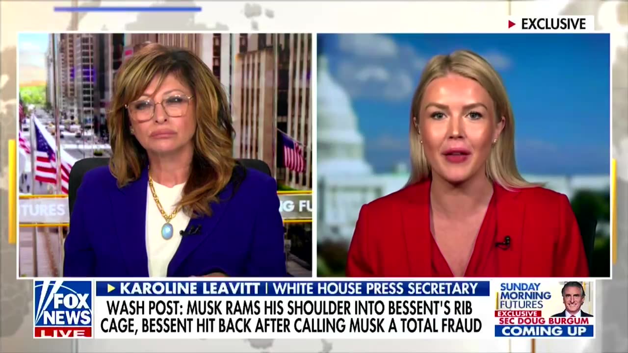 Karoline Leavitt says Elon Musk 'body-checking' Trump adviser was 'healthy'