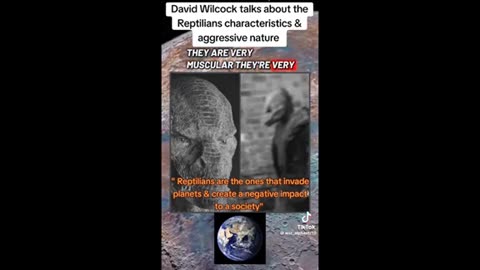 David Wilcock - Reptilians ..