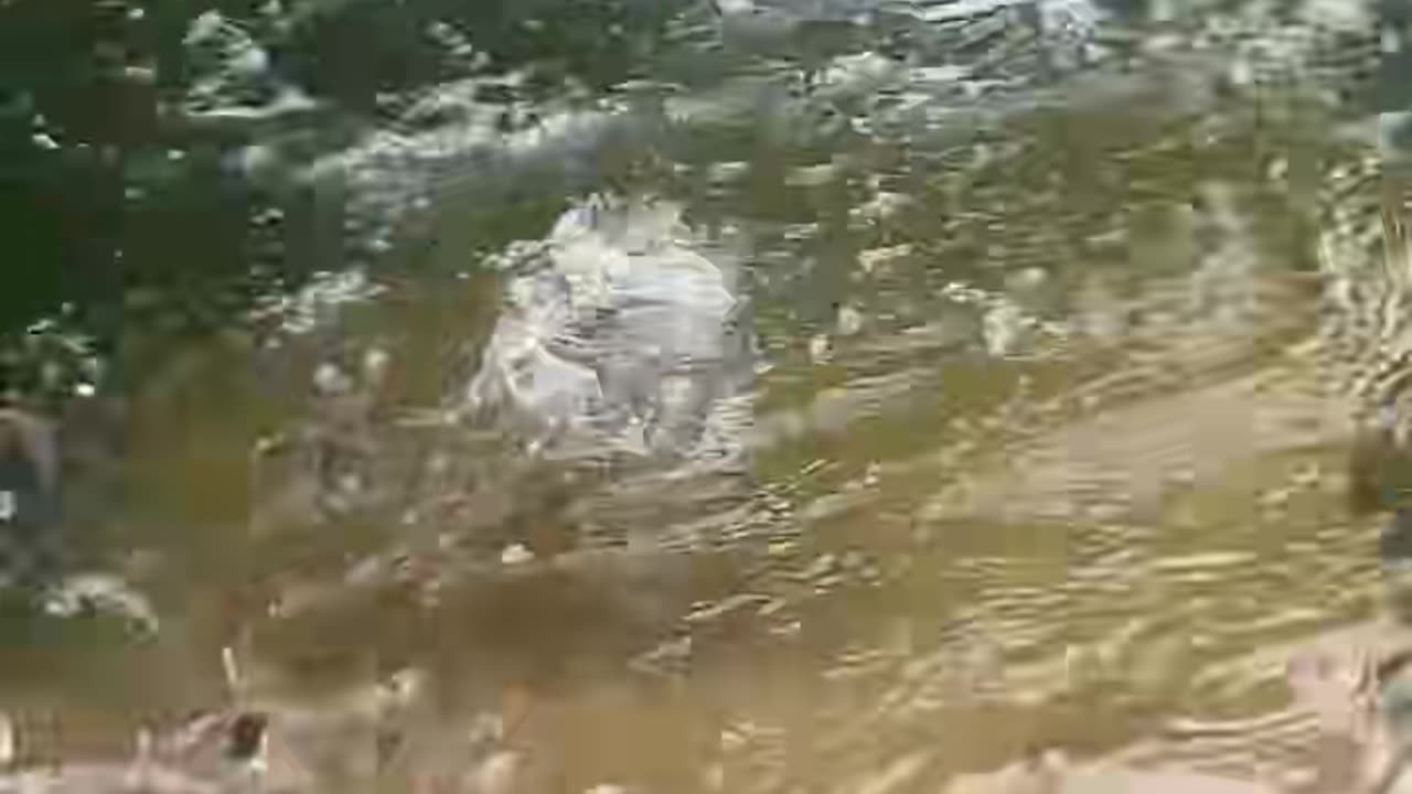 ✨🤩 Watch Viral Machines in Action! | FeedMyCuriosity