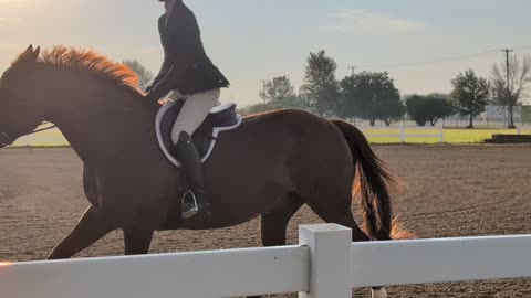 Mason City Iowa- Mid-States Horse Show