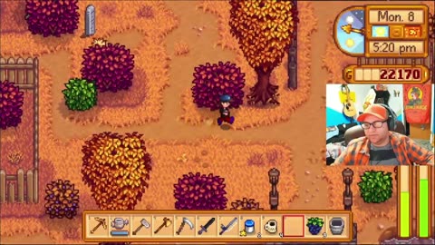 StarDew Valley lets Finish the Community Center