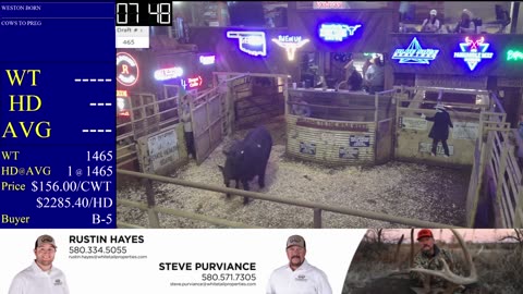 4/1/2025 - Calf & Yearling Auction- Beaver County Stockyards