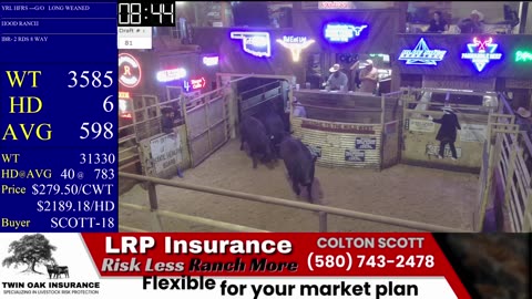 4/1/2025 - Calf & Yearling Auction- Beaver County Stockyards
