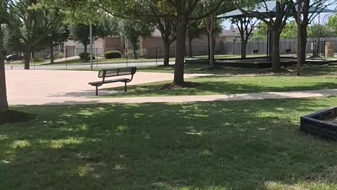 DAY AT THE PARK