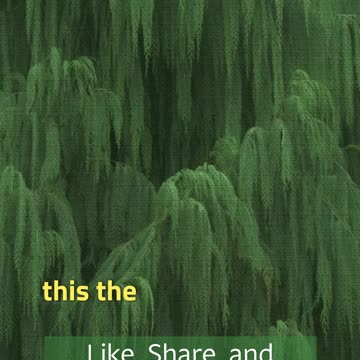 The Anthropocene Illusion: How We’re Replacing Nature with Fake Worlds