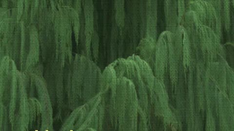 The Anthropocene Illusion: How We’re Replacing Nature with Fake Worlds