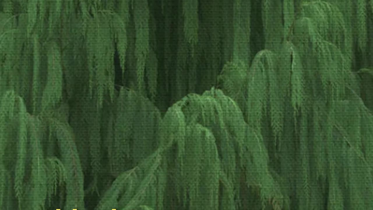 The Anthropocene Illusion: How We’re Replacing Nature with Fake Worlds