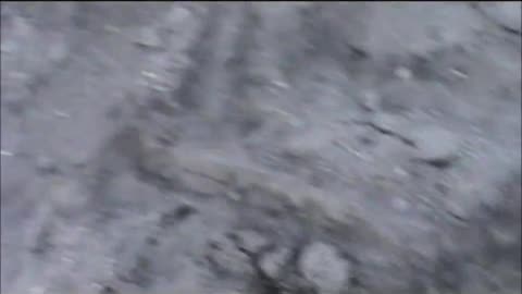 Uggs in Mud