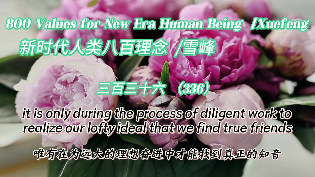 800 Values for New Era Human Being（336）