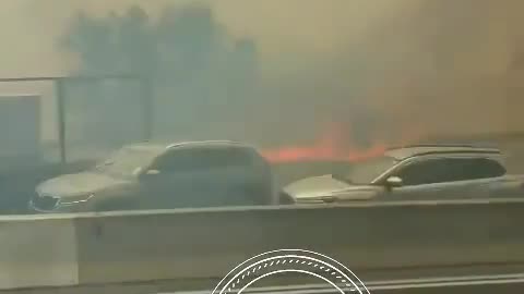 What do you think is the cause of the fires in Israel