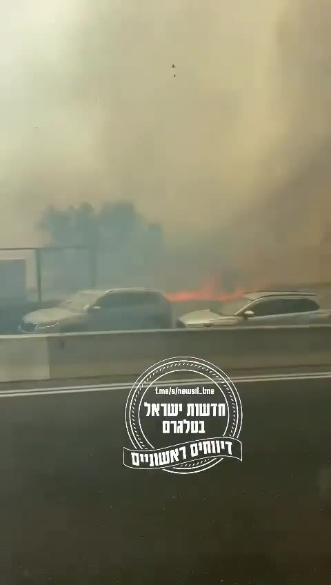 What do you think is the cause of the fires in Israel