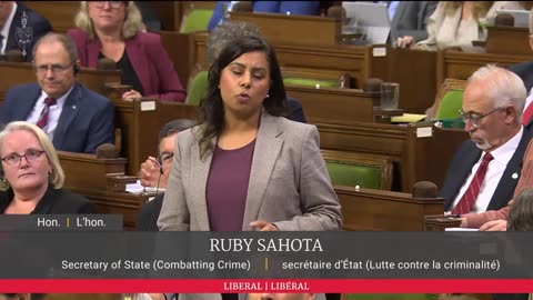 CCFR Parliament Clips: Leaked Audio of Safety Minister on Gun 'Buyback'