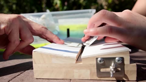 Butterfly GPS helps scientists trace monarchs’ cross-continent journey