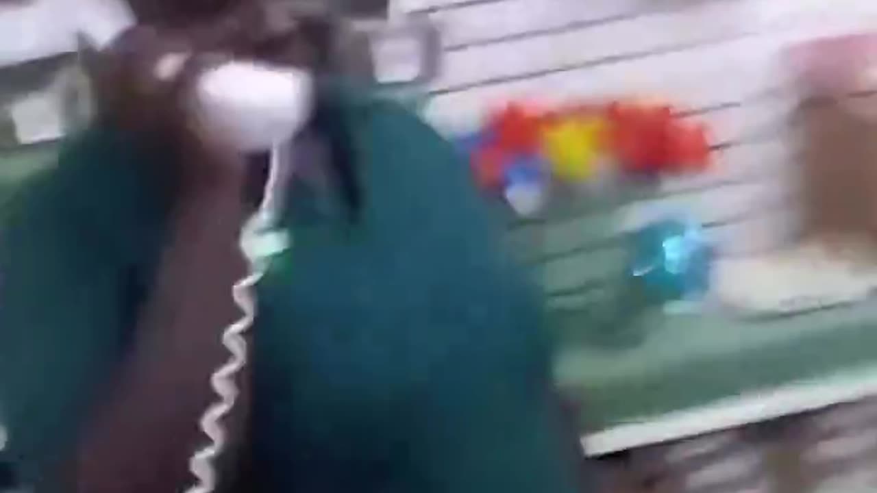 Ham beast Hippo escapes zoo