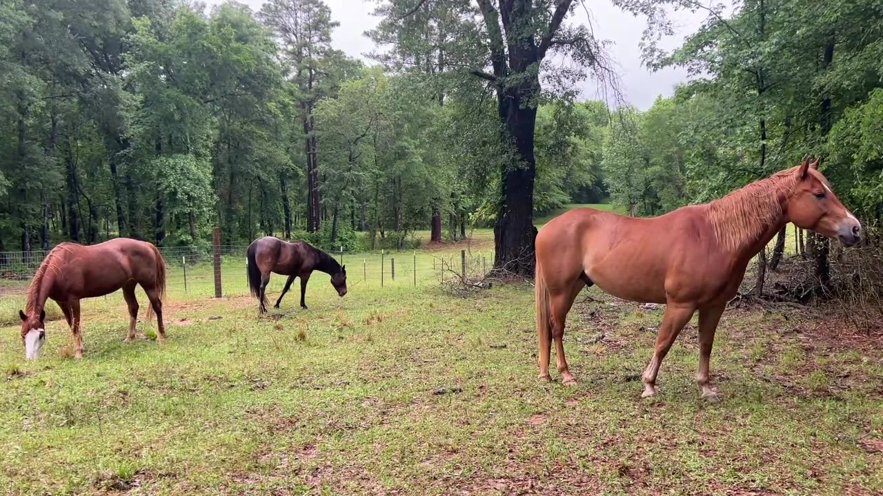 Is there anybody out there?