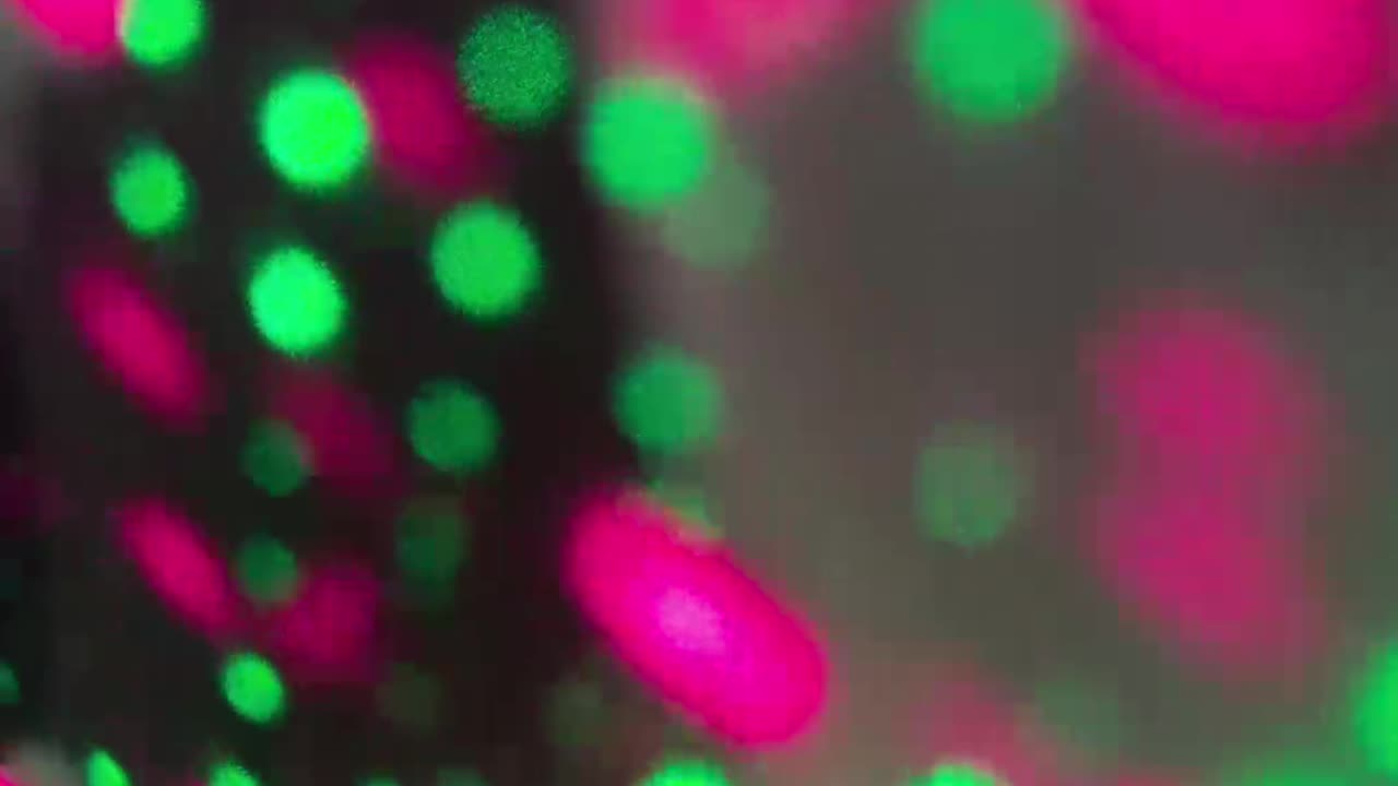 Elle on X