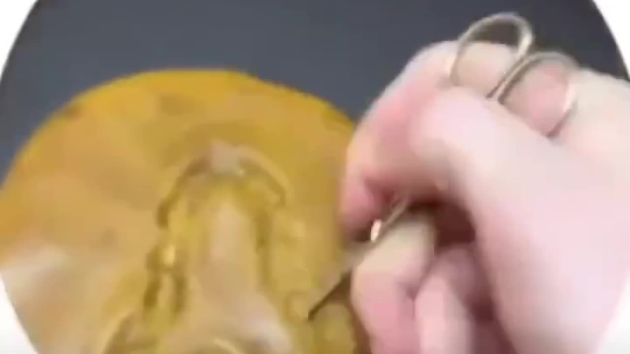 Collection of funny Memes 🍒