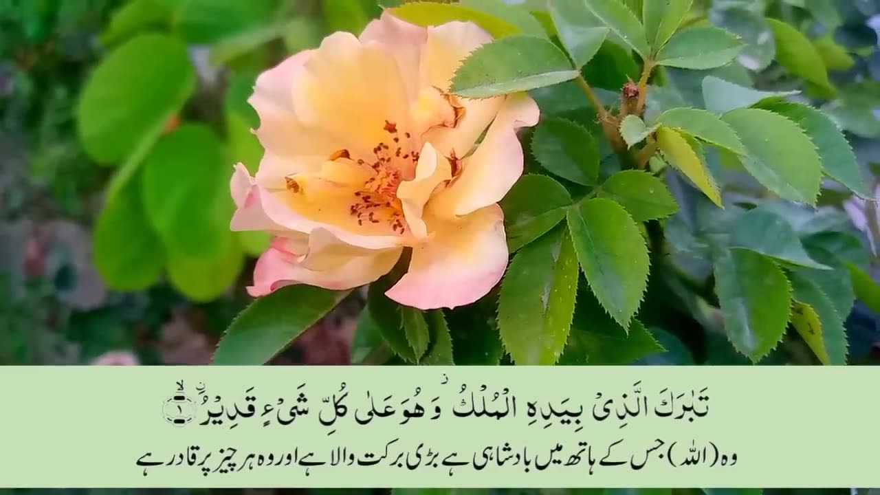 Surah_Mulk_anslation___Beautiful_Quran___Quran_with_Urdu-Hindi_Translation(720p)