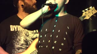 Thorns of Creation - APEX RACE