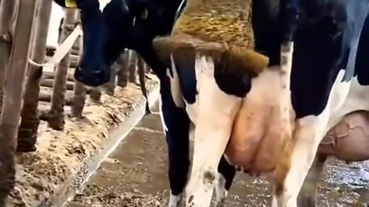 cleanliness comes first!