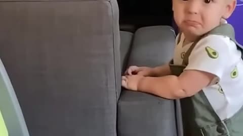 "Cat vs Baby – Funniest Clips Ever!"
