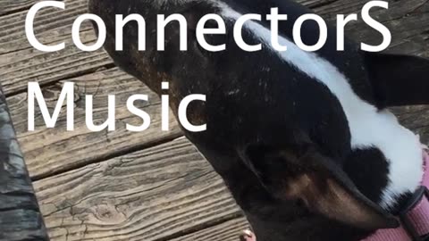Connectors Live 'Maggets in my Cabrito' Raw video