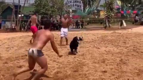 Incredible skills.