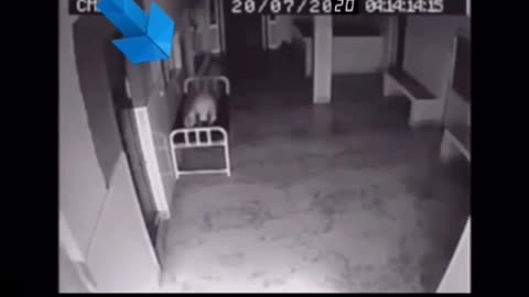 😱👻 Soul Caught Leaving a Body! | TheHauntingHour