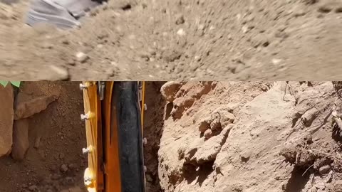 A dream with a prediction from the past