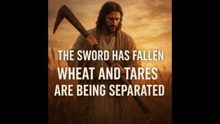 Wheat vs. Tares — The Great Separation of Believers