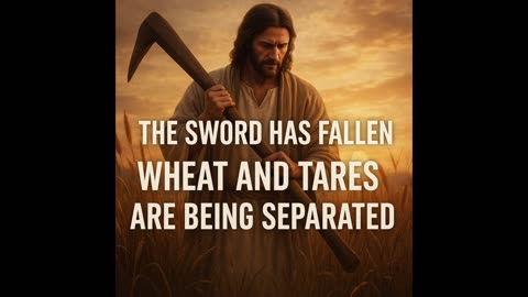Wheat vs. Tares — The Great Separation of Believers