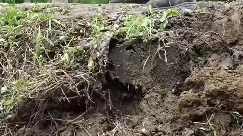 Real Hunting – डरावना और सच्चा