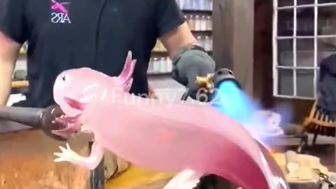 This isn't what it looks like