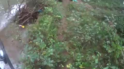 Pêche à la truite