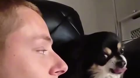Funny dog moments 4