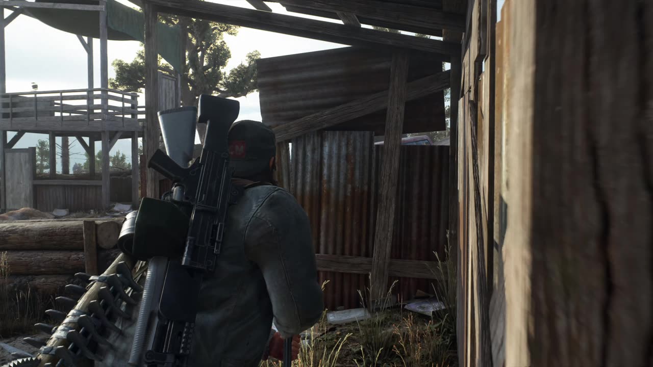 Days Gone - 49
