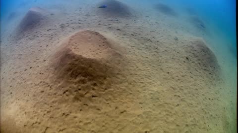 Planeta zem 3 -Sladkovodny svet