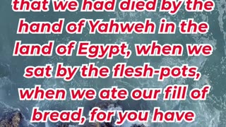 “God Promises Bread from Heaven” exodus 16:3,4. #shortvideo #shorts #youtubeshorts #ytshorts #reels