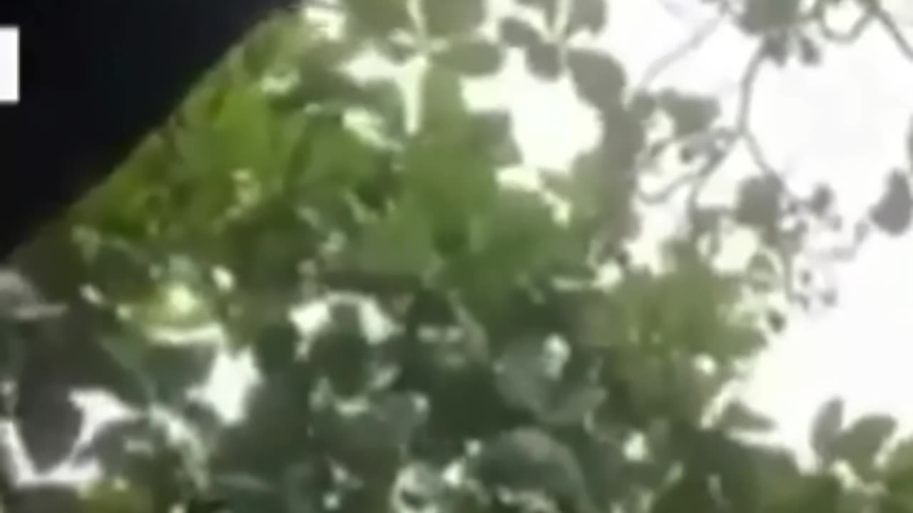 Climate Change_ Mas Maraming Pag-ulan sa Hinaharap!