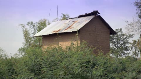 Don’t Delay Emergency Roof Repair in West Linn—Here’s Why Immediate Action Matters