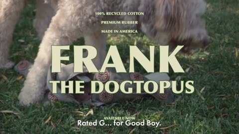 Frank the Dogtopus – The Smart Toy Every Dog Will Love!