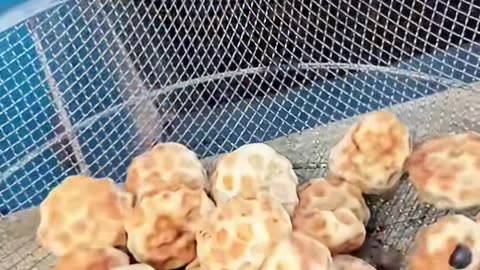 ✨💡 The 6-Second Trick That Will Wow You! | LifeHacksDaily