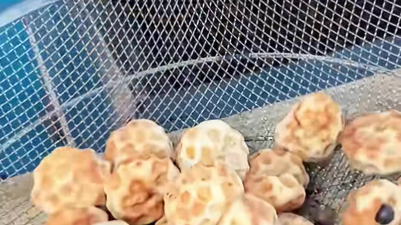 ✨💡 The 6-Second Trick That Will Wow You! | LifeHacksDaily